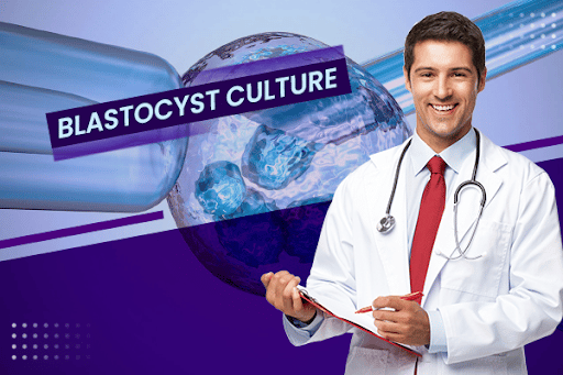 Blastocyst culture Treatment
